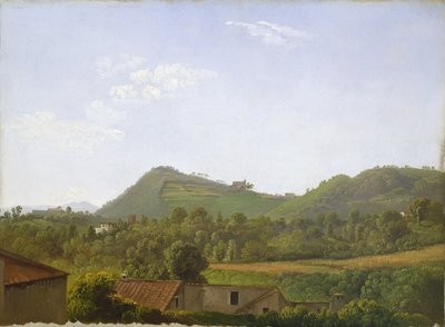 View near Naples by Simon Alexandre Clément Denis